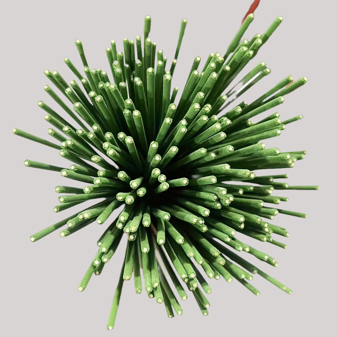 Bâtons de diffuseur de roseaux - Home Fragrance Lemongrass avis et prix